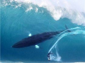 aad64ebc953ab9cf02601a62b9ec4233