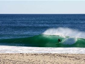 1460006 201563660027693 779167966 n