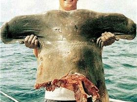 19748847 1607488099264207 2960803187394734654 n 1