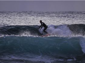 31801060750 f0ae866348 o