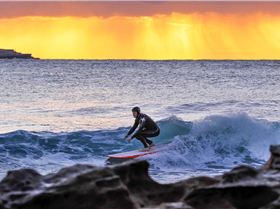 32057981631 b2d0828388 o