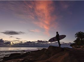 31366221983 1013014cca o