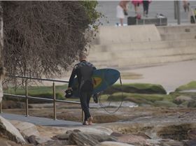 31334905124 282967b857 o