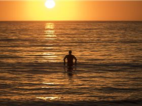 31393007533 185dd78d8b o