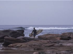 32423977201 811054db2a o