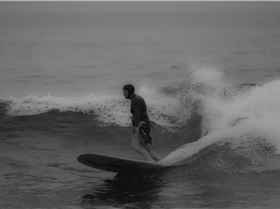 31702799624 cba1a22401 o