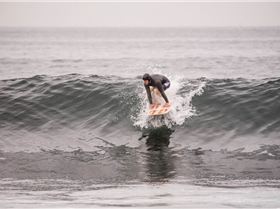 32505328746 5daa4924fe o