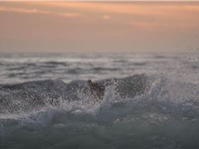 32662805442 365e597d2d o