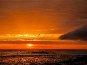 32942157936 cb1facb462 o