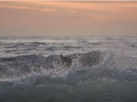 32662805442 365e597d2d o