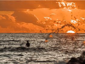 32933736250 96d4fd6ca9 o