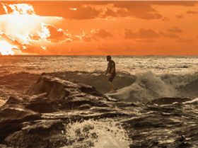 32933736730 64cab4c5f7 o