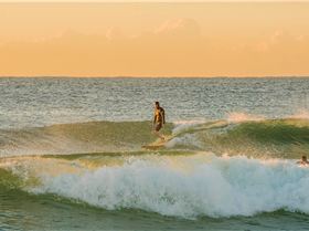 33943284736 8213f31a40 o