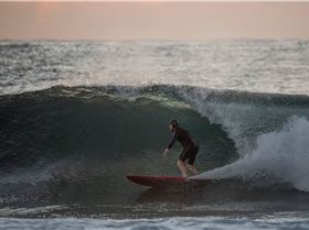 34025456352 741d61de77 o