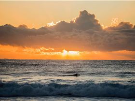 33371733233 5084dcb337 o