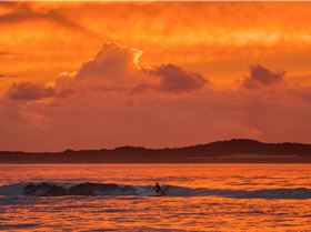 33844904350 eb933fc69e o