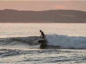 33429429344 88f81e62fb o