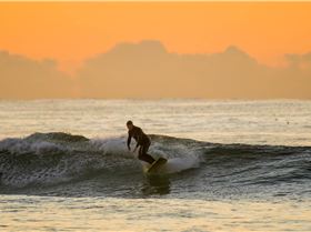 34236178081 a137d40fcf o