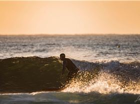 35989517394 7f28fc5a9a o