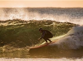 36427564810 79171a859a o