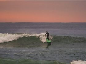 37065343896 08f0d9da51 o