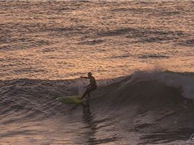 36472599313 2164b29b20 o