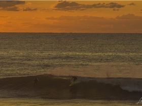 36889378240 d77b851213 o