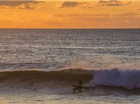 36472579393 d3b9146e62 o