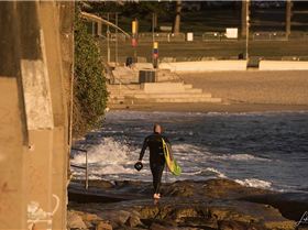 36889297500 e920411b9e o