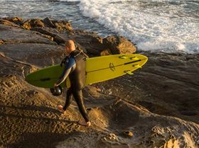 36889296060 db1d0bebaf o