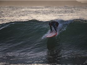  HDZ1691 3873x2582 2035958