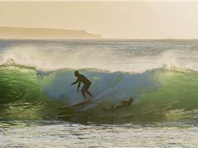  HDZ1786 3870x2584 2035949