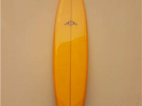 21765264 915984701884570 1769430833840665665 n