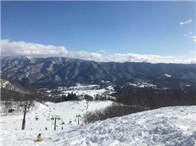 26233969 1941471052840573 1873623317 n