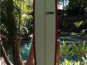 New pieter 9'1'231/4"X318"