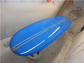 29249306 2302592866432760 5035801288833043371 n