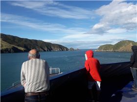 South Island Westport 030