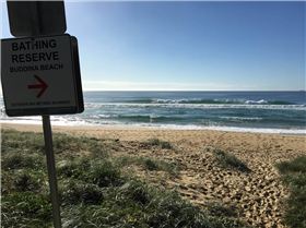 Sunny Coast in Autumn