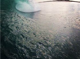 That's a stand up put ya hands up job. A local island oasis