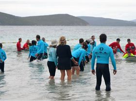 DCA 10th February 2018 245