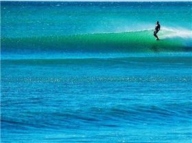 36912478 2153020331634469 8430530535826128896 n