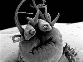 FB IMG 1546329738857