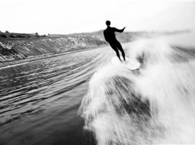 44645209 370513567057098 5984638891713063186 n