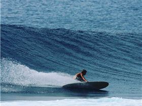 Chris Malloy 7'4 Liddle GL PB