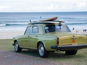 15034853 334234620274499 6731157052204253184 n