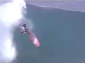 Screen Shot 2019-04-05 at 7.07.47 pm