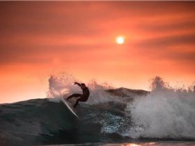 60235361 10156221574611074 1183867491298836480 n