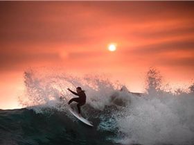 59911614 10156221574731074 2621293732741251072 n