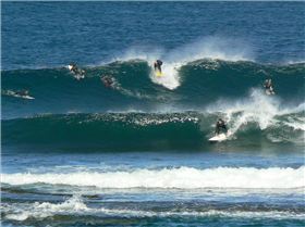 Jan 08, Margies Mains