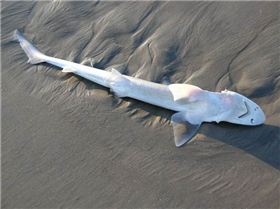 2743674559 c0fd9cfafd z